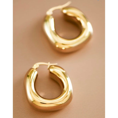 Gold Dipped Earrings