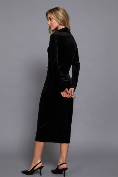Velvet Glitter Dress