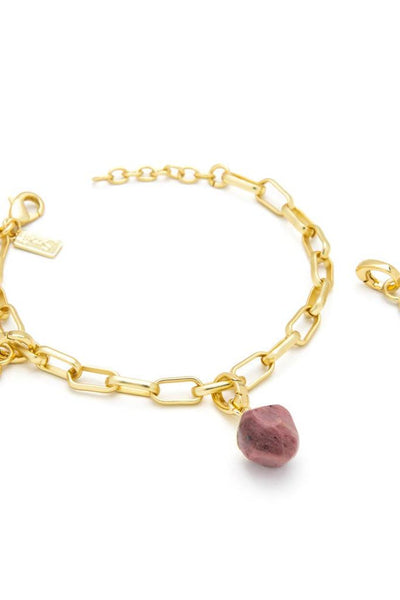 Interchangeable Charm Bracelet - Tourmaline/Healing/Gold